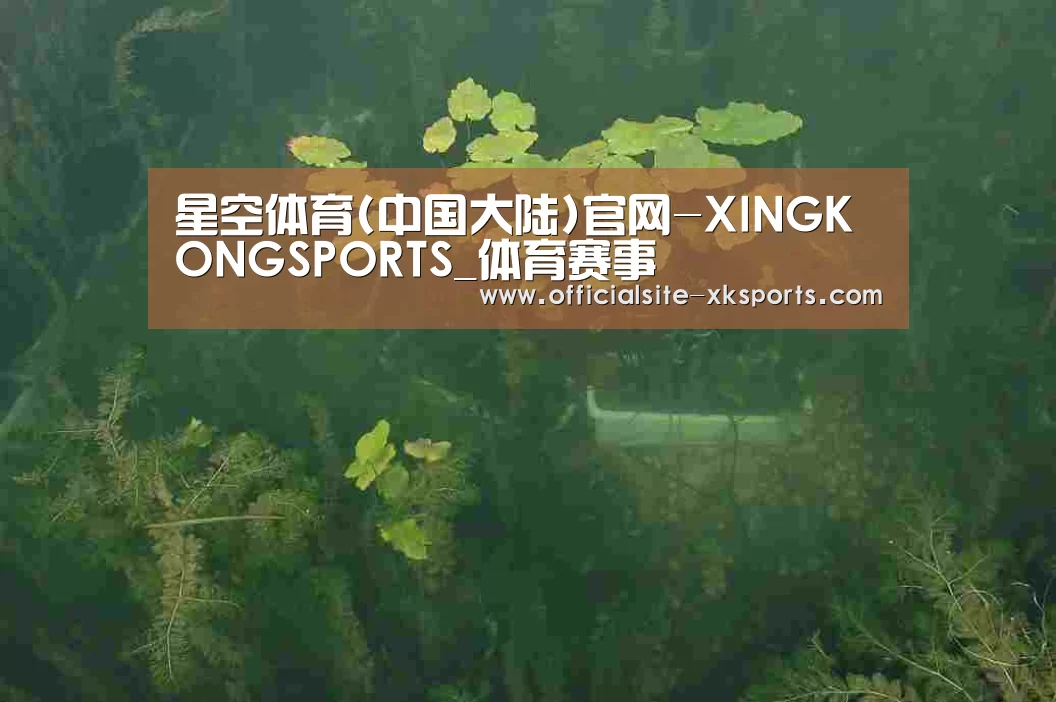案例展示三(图1)