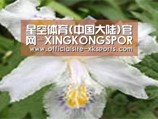 产品名称二