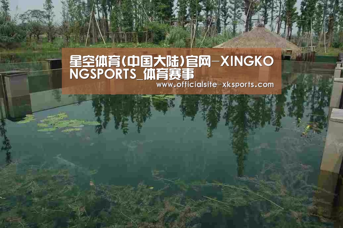 案例展示二