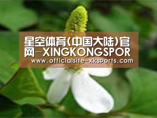 产品名称三