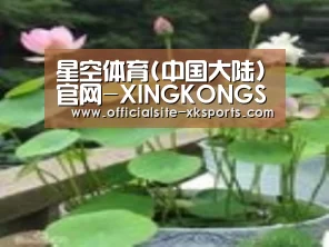 产品名称一