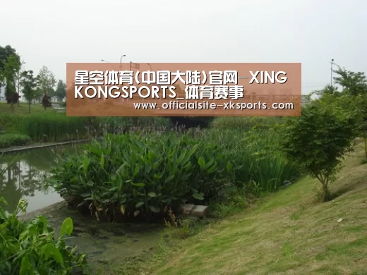 案例展示四